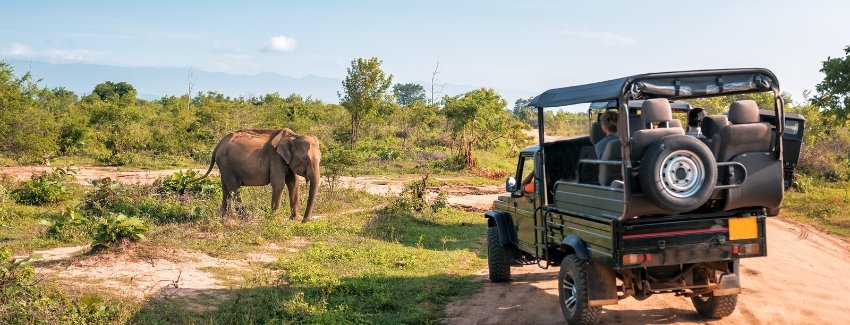Central India Tour
