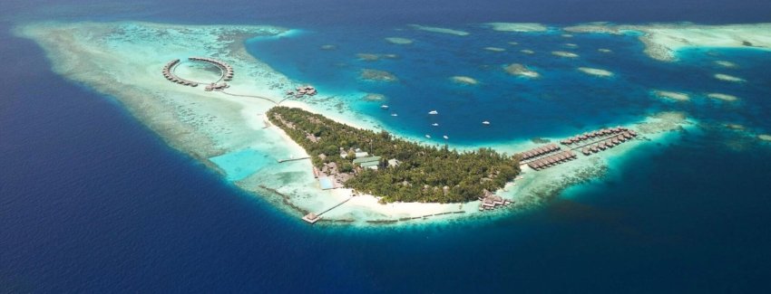 Romantic Candlelight Beach Dinner Maldives Honeymoon