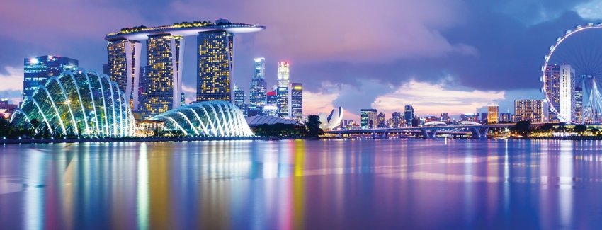 Gardens by the Bay Ultimate Singapore Tour